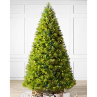 Árvore de Natal Verde Monterey Pine com Galhos Longos, Suporte Metálico e Micro LEDs Coloridos Embutidos Árvore de Natal Verde Monterey Pine com Galhos Longos, Suporte Metálico e Micro LEDs Coloridos Embutidos