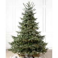 Árvore de Natal European Fir com Galhos Articulados, Suporte Metálico e Micro LEDs Embutidos Árvore de Natal European Fir com Galhos Articulados, Suporte Metálico e Micro LEDs Embutidos